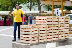 Srečanje Šempetrov 2016 (3)